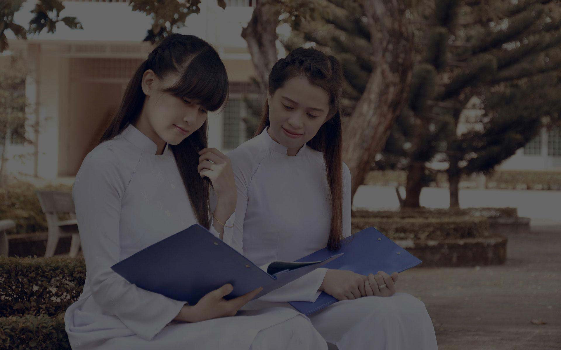 报复骗子轰炸神器